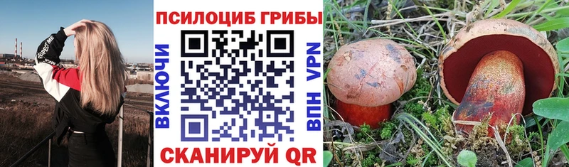где купить наркотик  Унеча  Галлюциногенные грибы ЛСД 