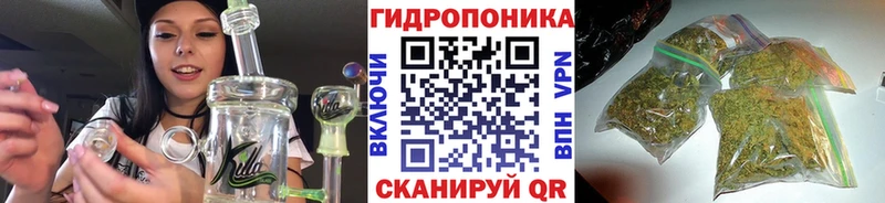 Конопля White Widow kraken маркетплейс Унеча